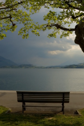 Скамейка на берегу обои