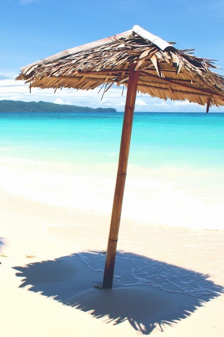 Тросниковый зонт обои