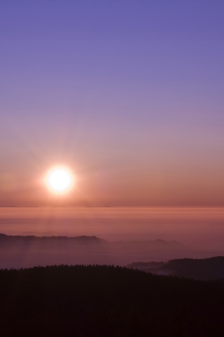 Восход солнца над лесом обои