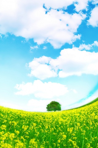 Искаженный мир обои