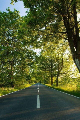 Прямая дорога обои