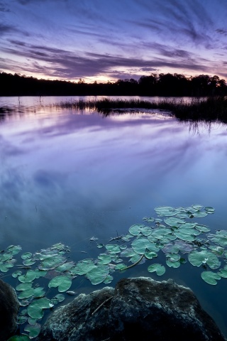 Озеро поздним вечером обои