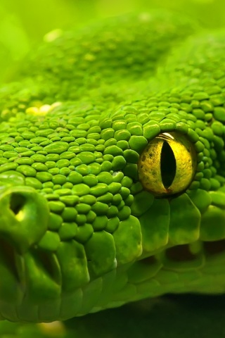 Страшно красивая обои