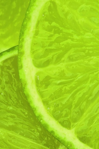 Дольки лайма обои