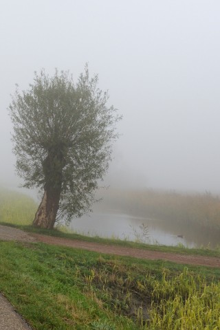 Дорога растворяется в тумане обои