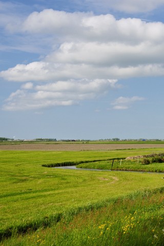 дом на лугу обои