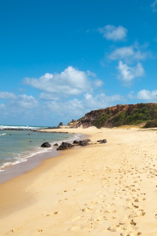 Туры в Бразилию в Лондрину обои
