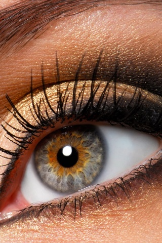 Тушь и тени обои