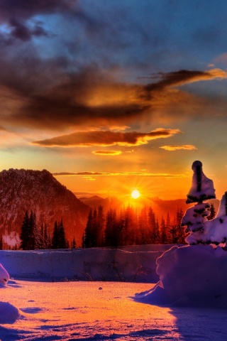 Зимнее солнце обои