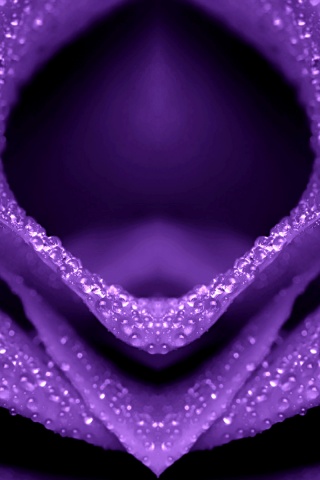 Цветочный зев обои