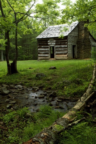 Домик в лесу обои