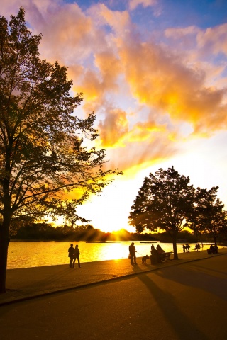 Природа обои