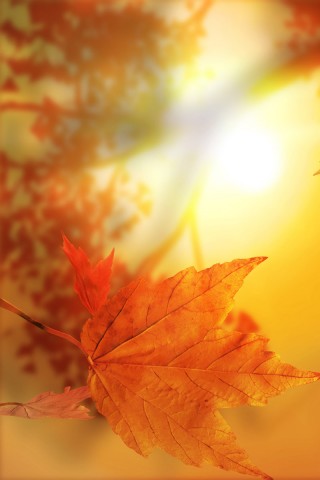 Осенний блюз обои