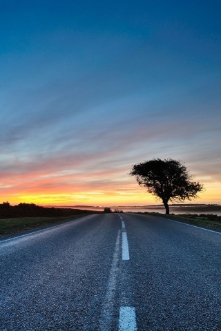 Дорога обои