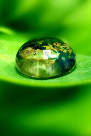 Целый мир в капле воды обои