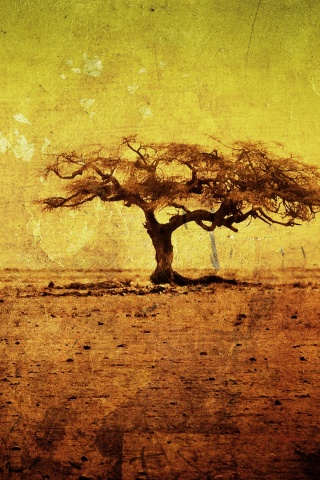 Гранжевое дерево в саванне обои
