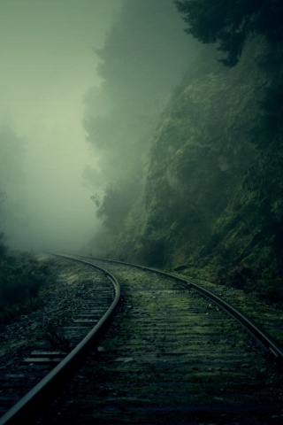 Рельсы уходя в туман обои