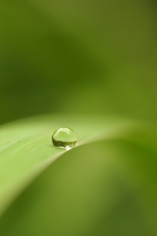 Капелька воды обои