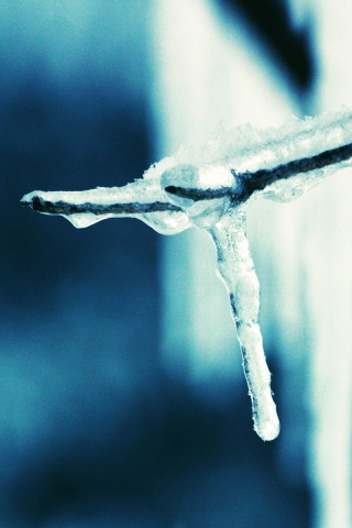 Сосуля обои