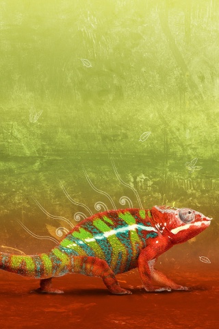 Хамелеон обои