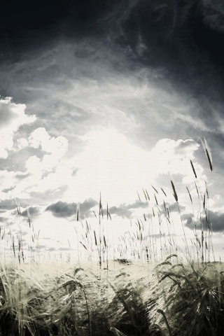 Сюрреалистичная трава обои