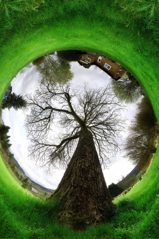 Другой взгляд на мир обои