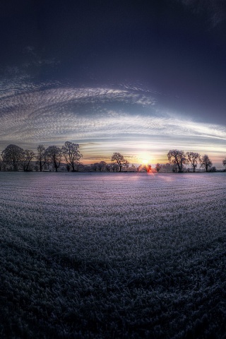 Поле широкоугольным объективом обои