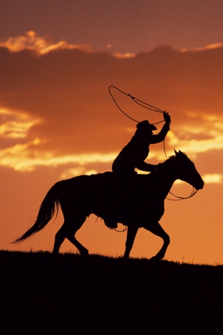 Силуэт ковбоя на закате обои
