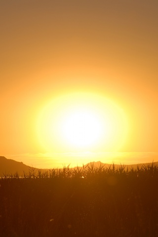 Сельский закат обои