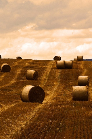 Уборка сена с поля обои