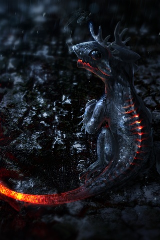 Огненный дракончик обои