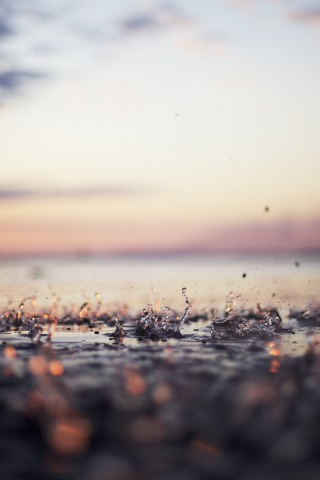 Дождь в макро обои