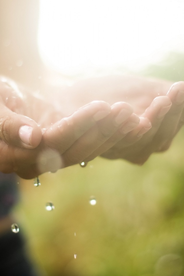 Дождь в ладонях обои