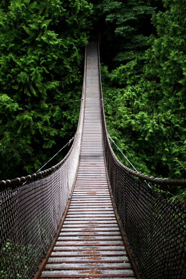 Канатный мостик обои