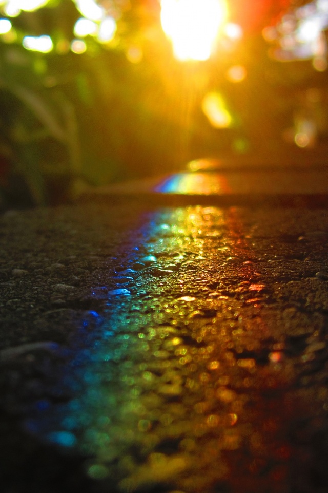 Макро радуга на камне обои