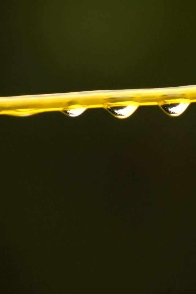 Капли на соломинке обои