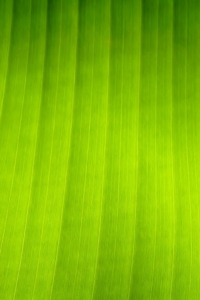 Травяные полосы обои