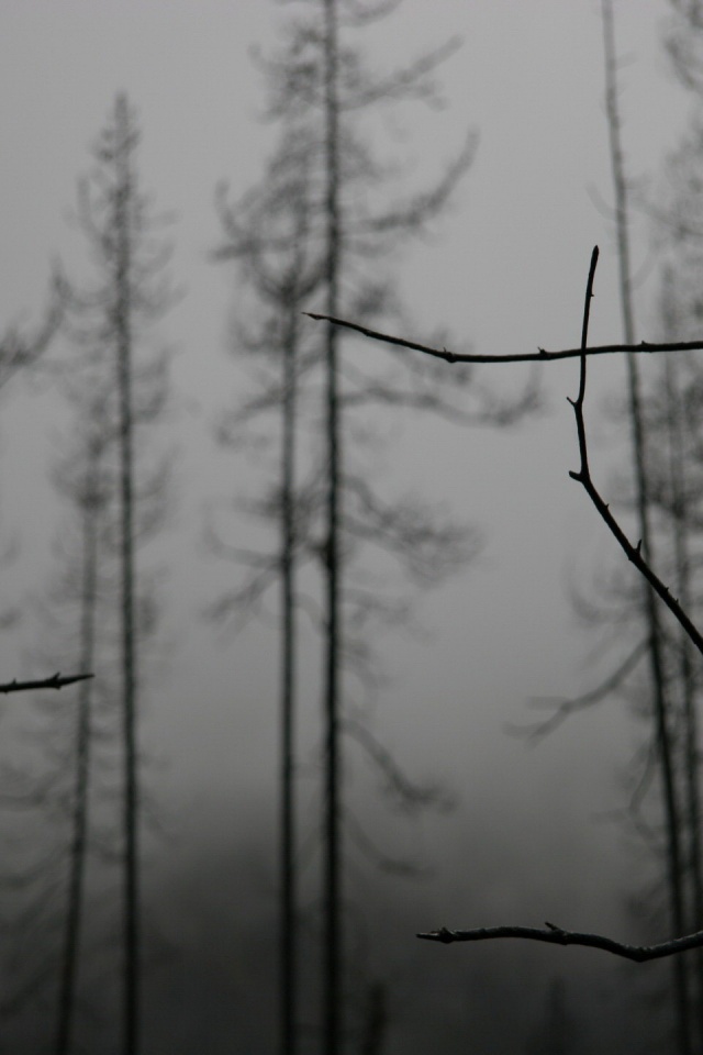 Безысходность обои