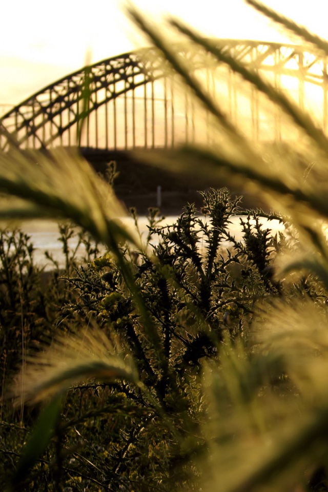 Железнодорожный мост обои