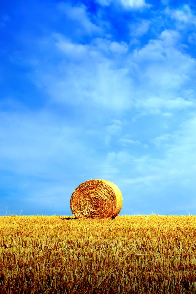 СОломеннынй рулон обои