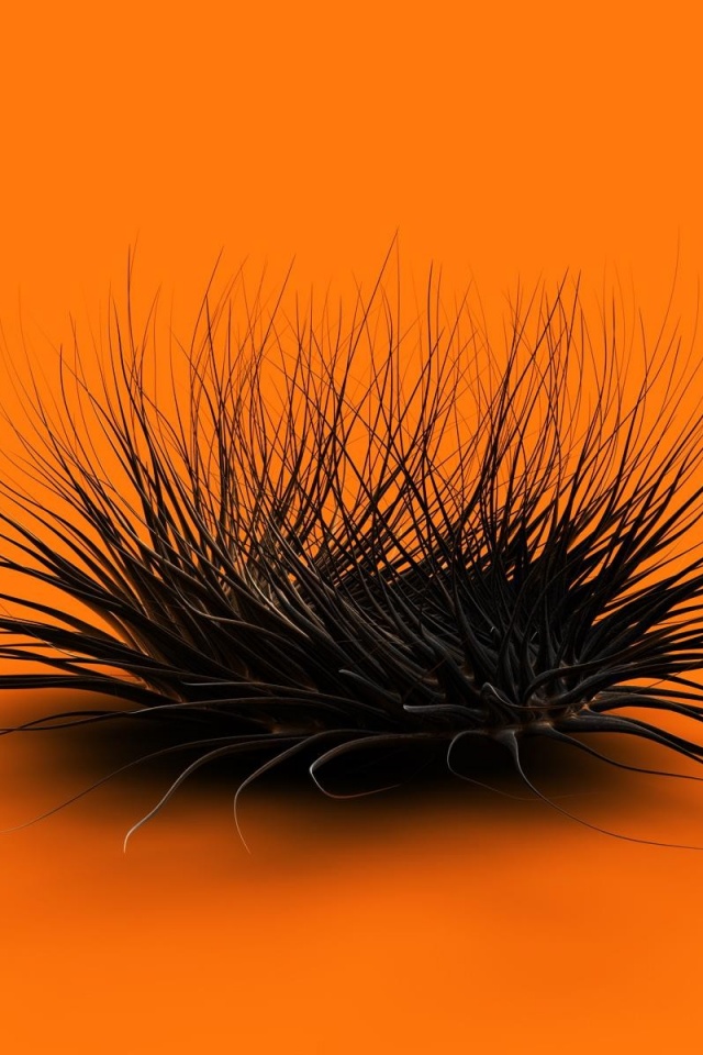 Волосатая мочалка обои