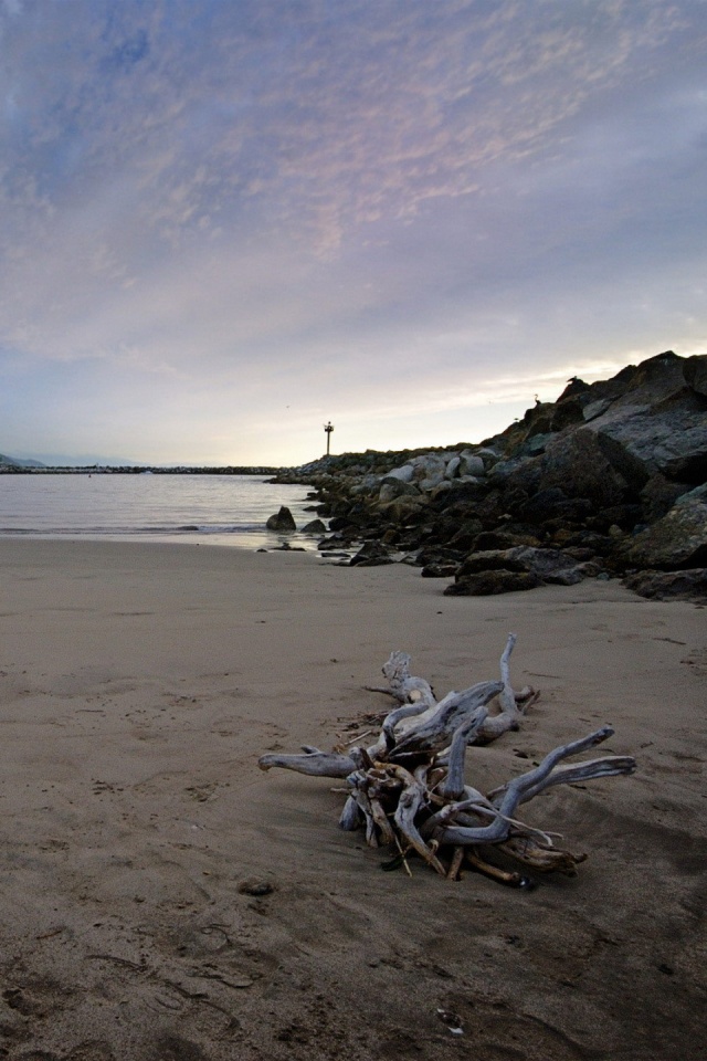 Коряга не берегу обои