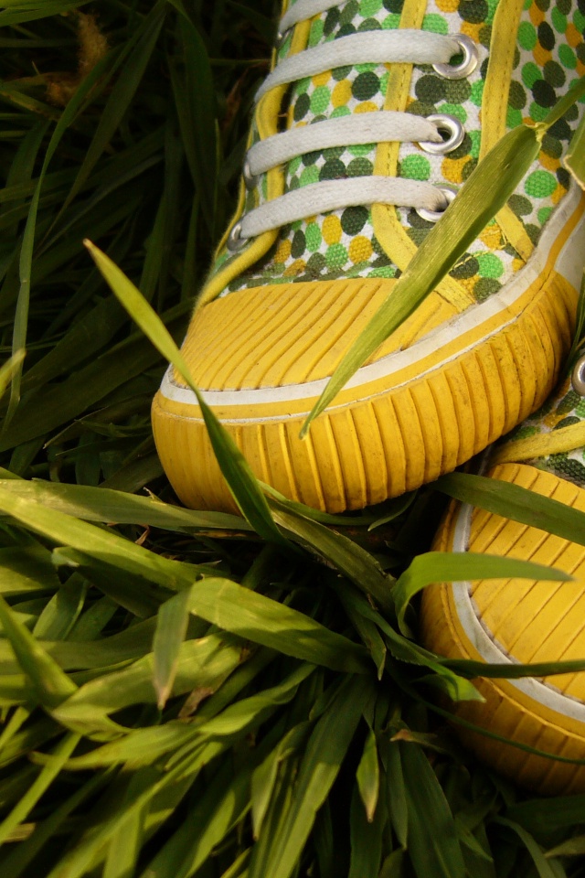 Желтые кеды в горошек обои