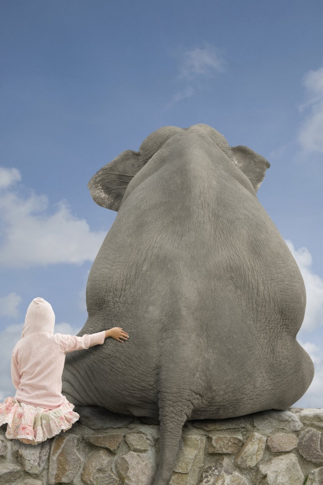 Девочка и слон обои