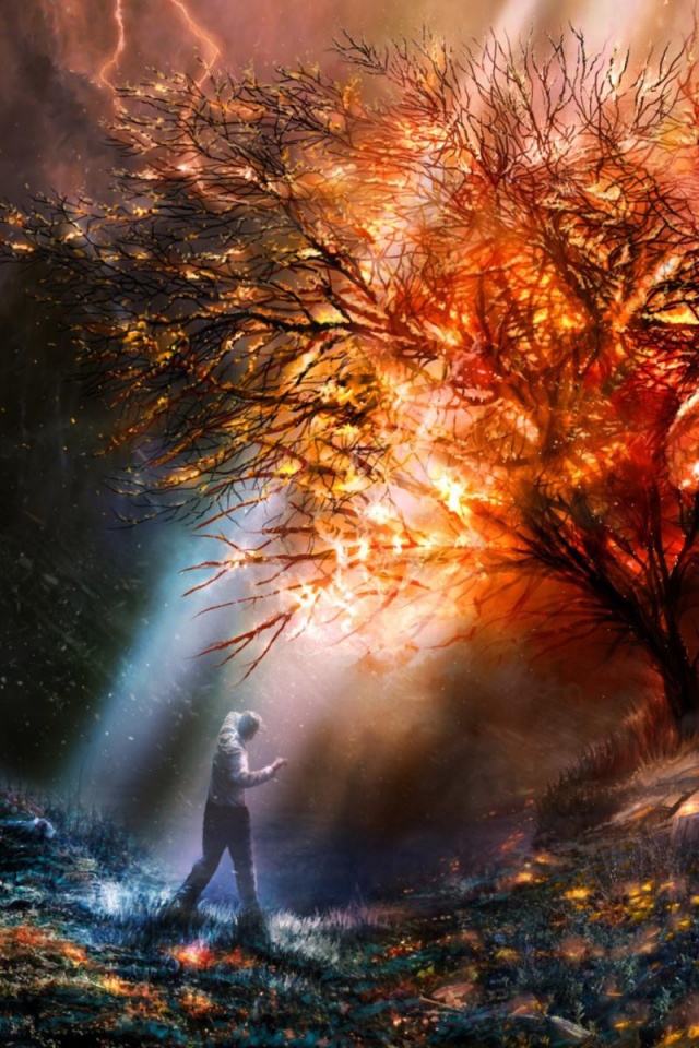 Горящее дерево обои