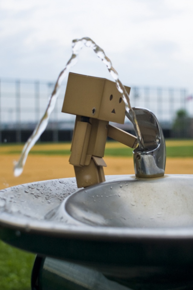 Дандо пьет в воду из фонтанчика обои