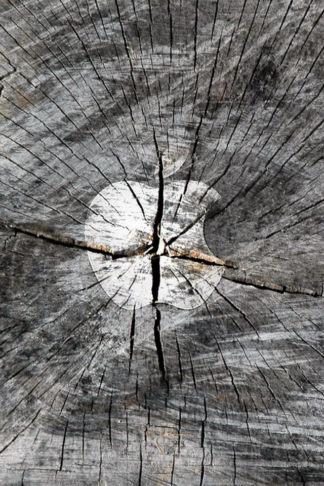 Логотип Apple на бревне обои