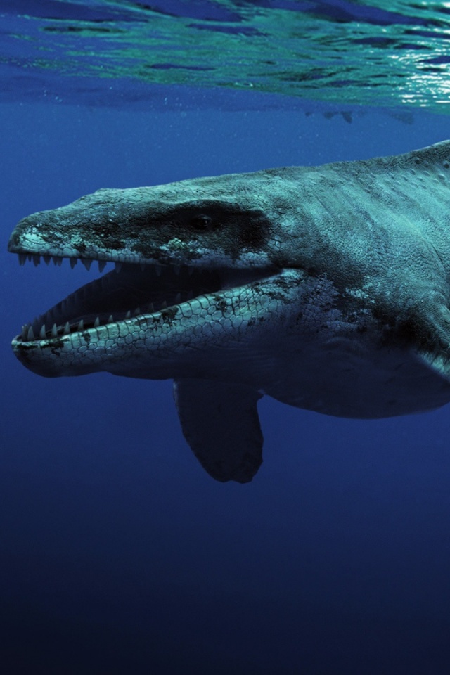 Морской динозавр обои