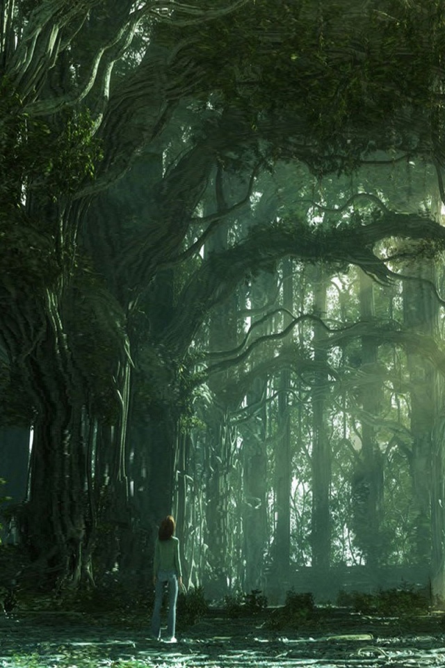 Одна в сумеречном лесу обои