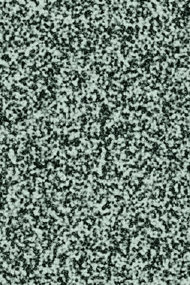 Черно-белый ковролин обои